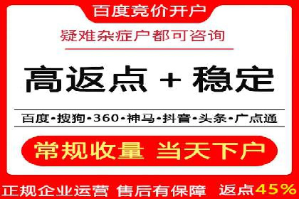 大型SEM服务公司案例分析
